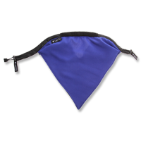 facemask