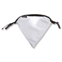 facemask